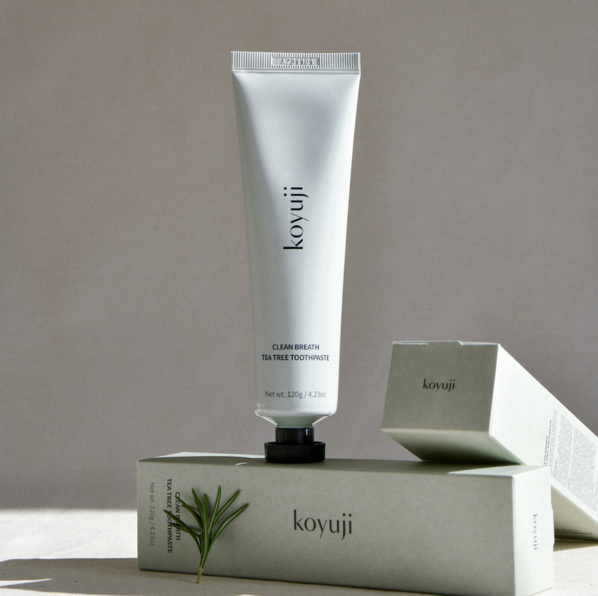 Ellielove Inc - Wholesale Toothpaste - WOOIDANG Natural Vegan Toothpaste3