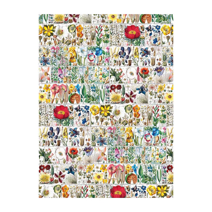 Enveloppe d'affiche florale pour la vente par The Pattern Book
