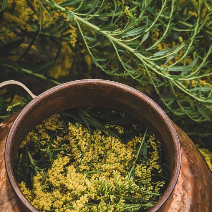 Roots & Marrow Apothecary - Wholesale Face & body mist/water - Gilded Veil Hydrosol Mist3