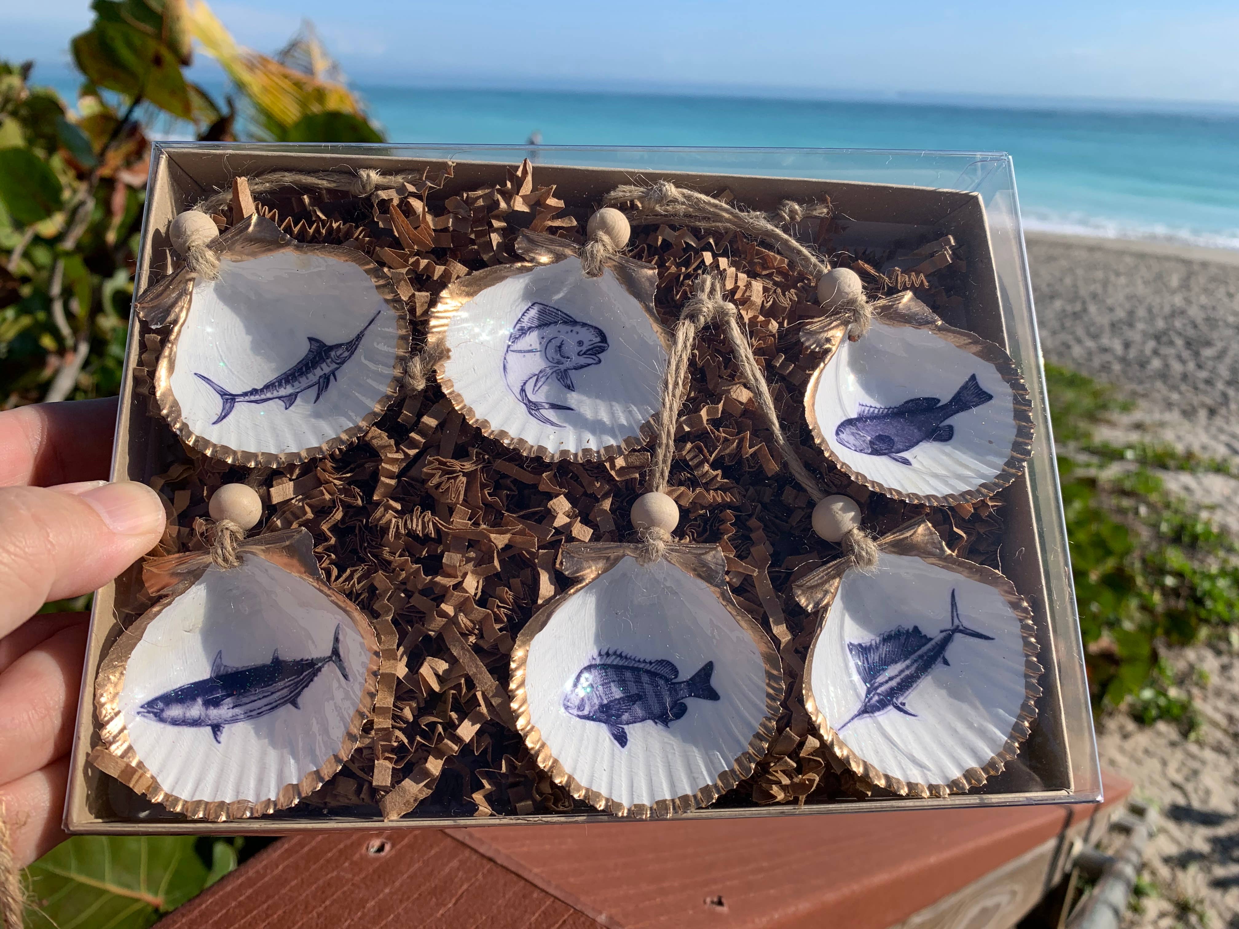 DogFish Design 13 – Großhandel Verzierungs-Set – Fisch Mini Shell 6 pk3