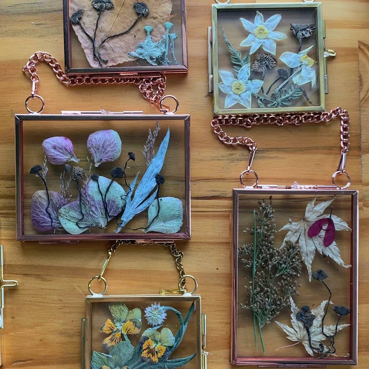 Twig and Snip - Wholesale Dried/Pressed Flowers - Miniature Pressed Flower & Fungi Windows 3.5"x 2.5"7