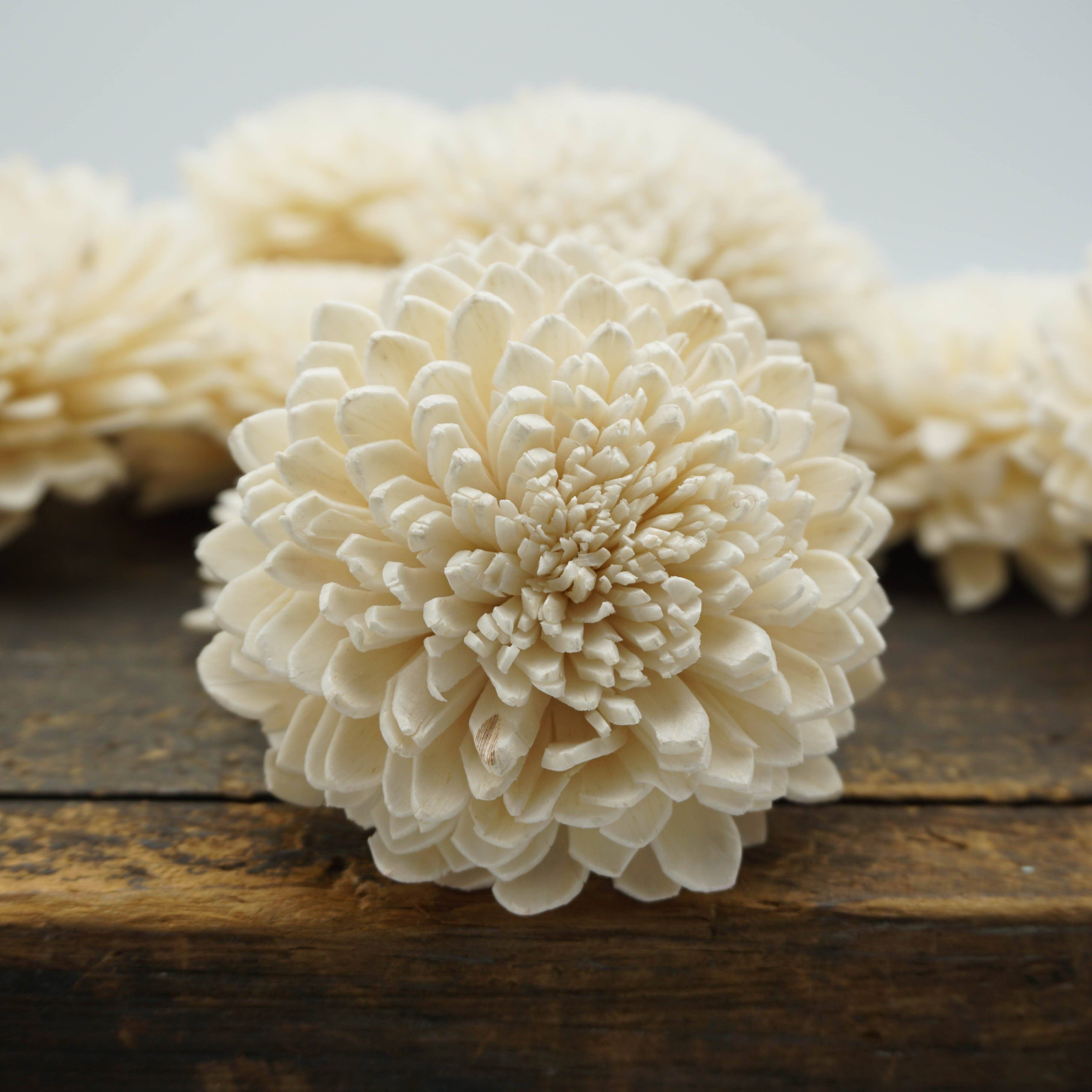 Oh You're Lovely - Vente Fleurs artificielles - Zinny™ (fleurs en bois sola) - Paquet de 100 - 1,5 pouces1