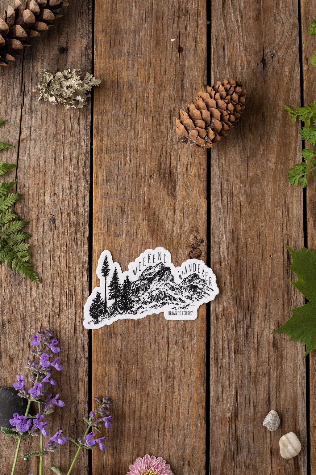 Drawn to Ecology - Wholesale Sticker - Weekend Wanderer Sticker