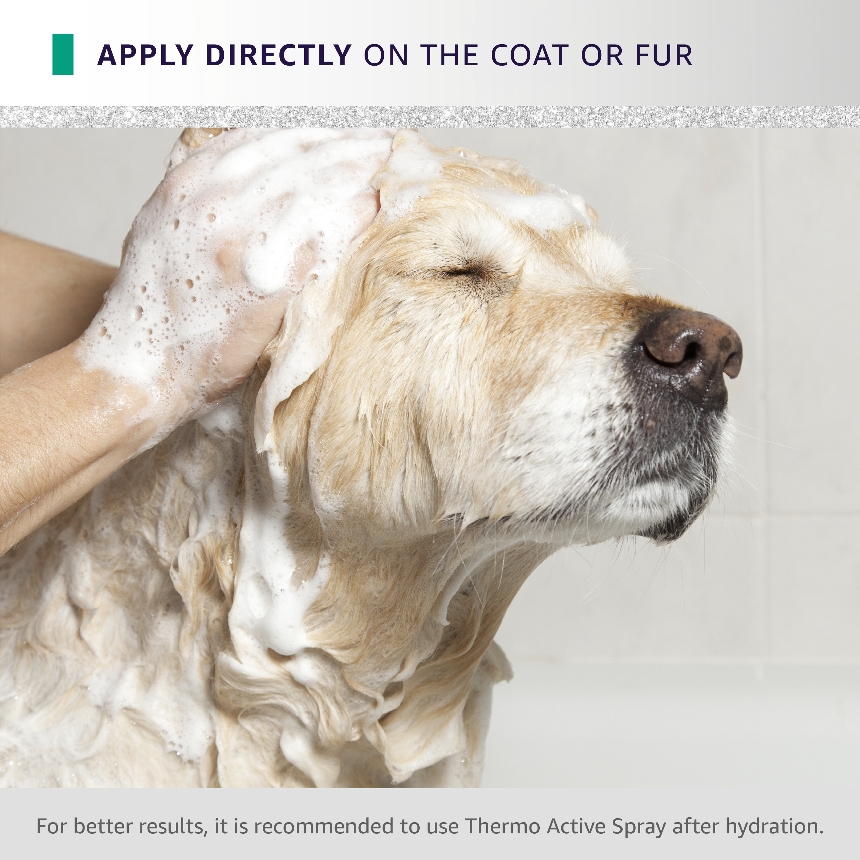 Hydra by Pet Society - Wholesale Pet Grooming Aid - Dog - Hydra Professional Flash Thermo Active Deep Conditioner5