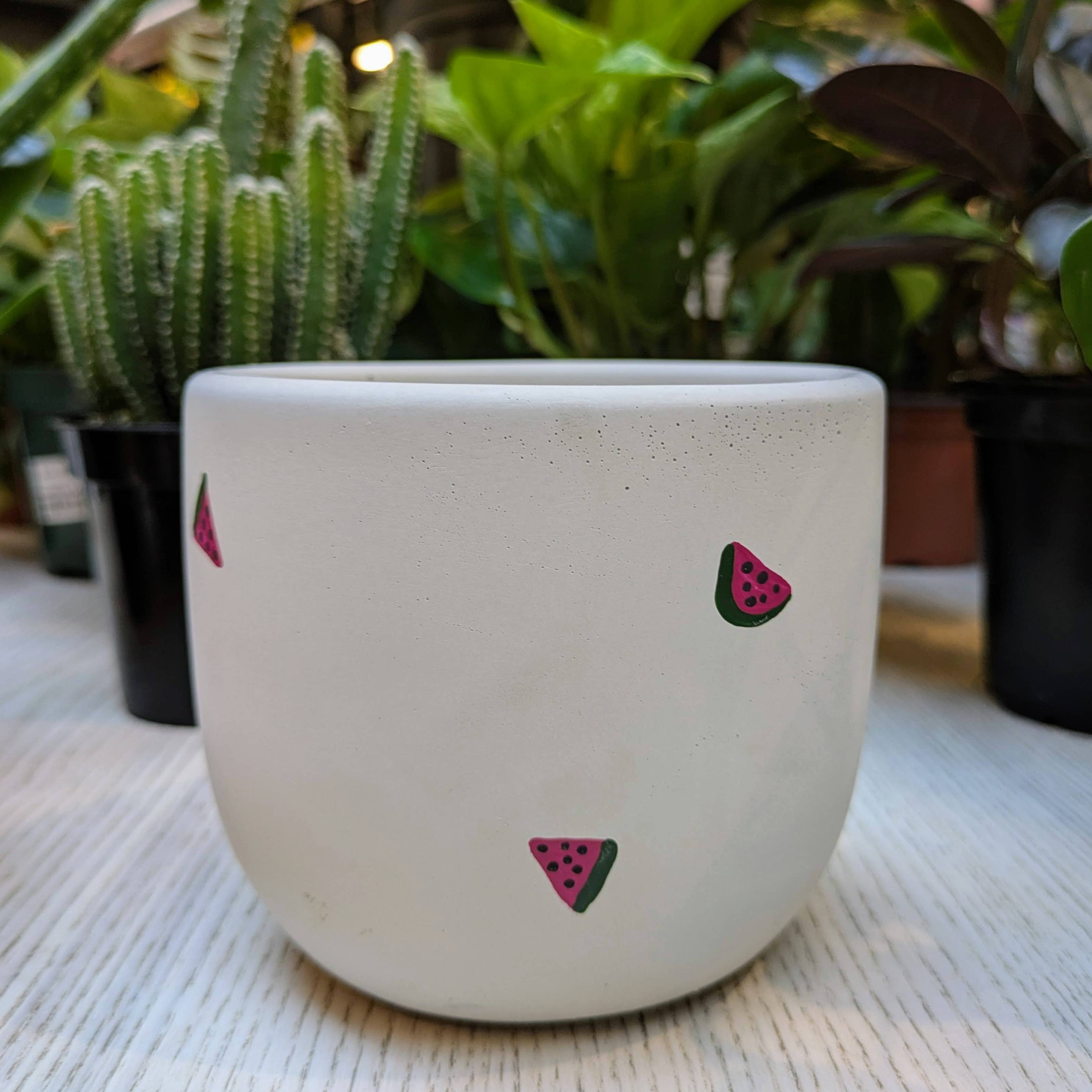 The Plant Supply - Wholesale Plant Pot - Concrete Planter - 4" | Plant Pot With Drainage Hole10