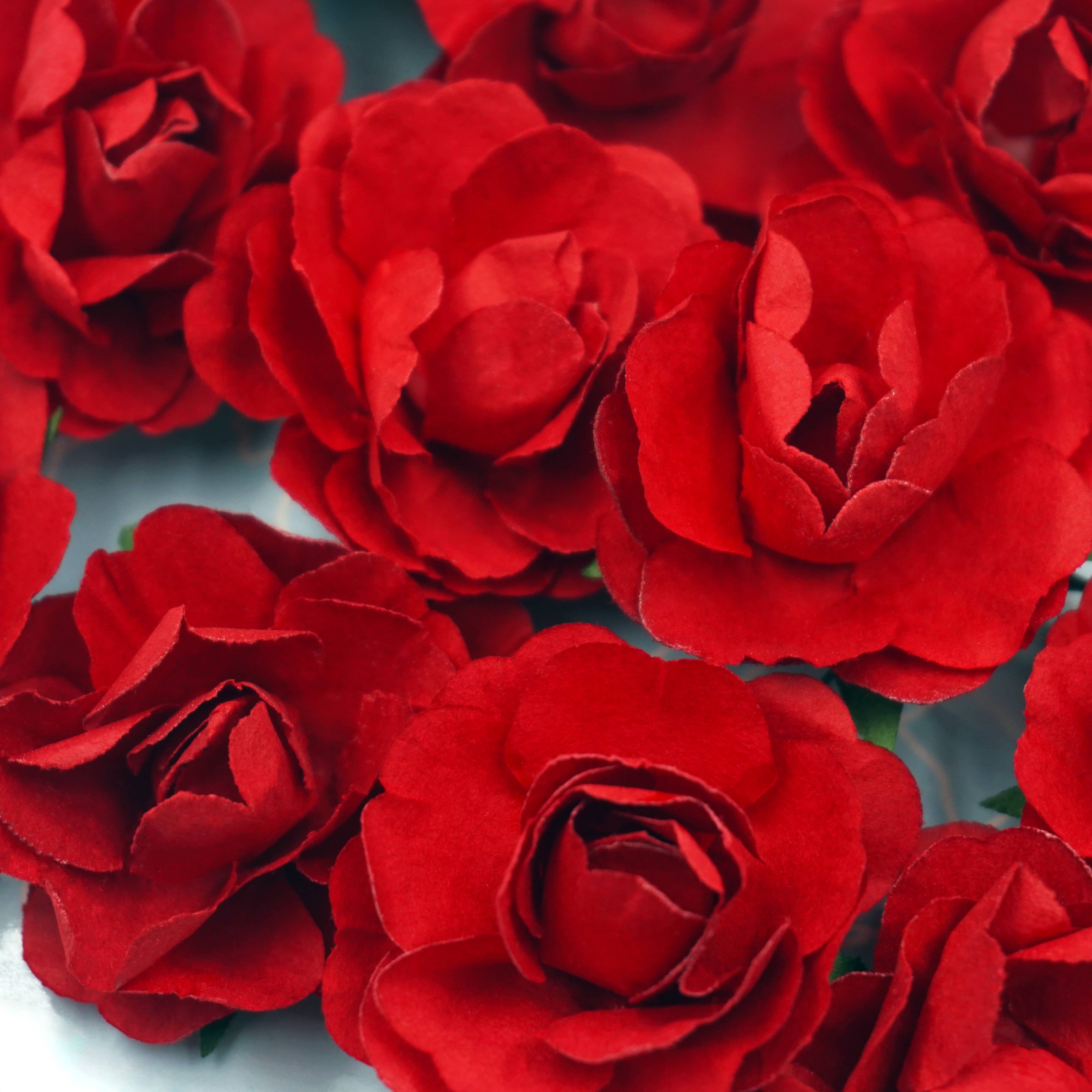 Angels Craft - Wholesale Artificial Flowers - Paper Flowers (Roses) with wire, 12-ct 1.57"10