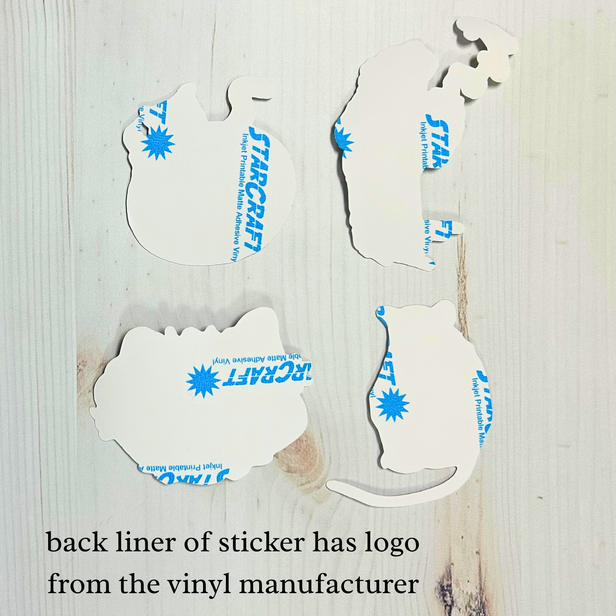 Sarah Draws Things - Wholesale Sticker - American Kestrel Vinyl Sticker3