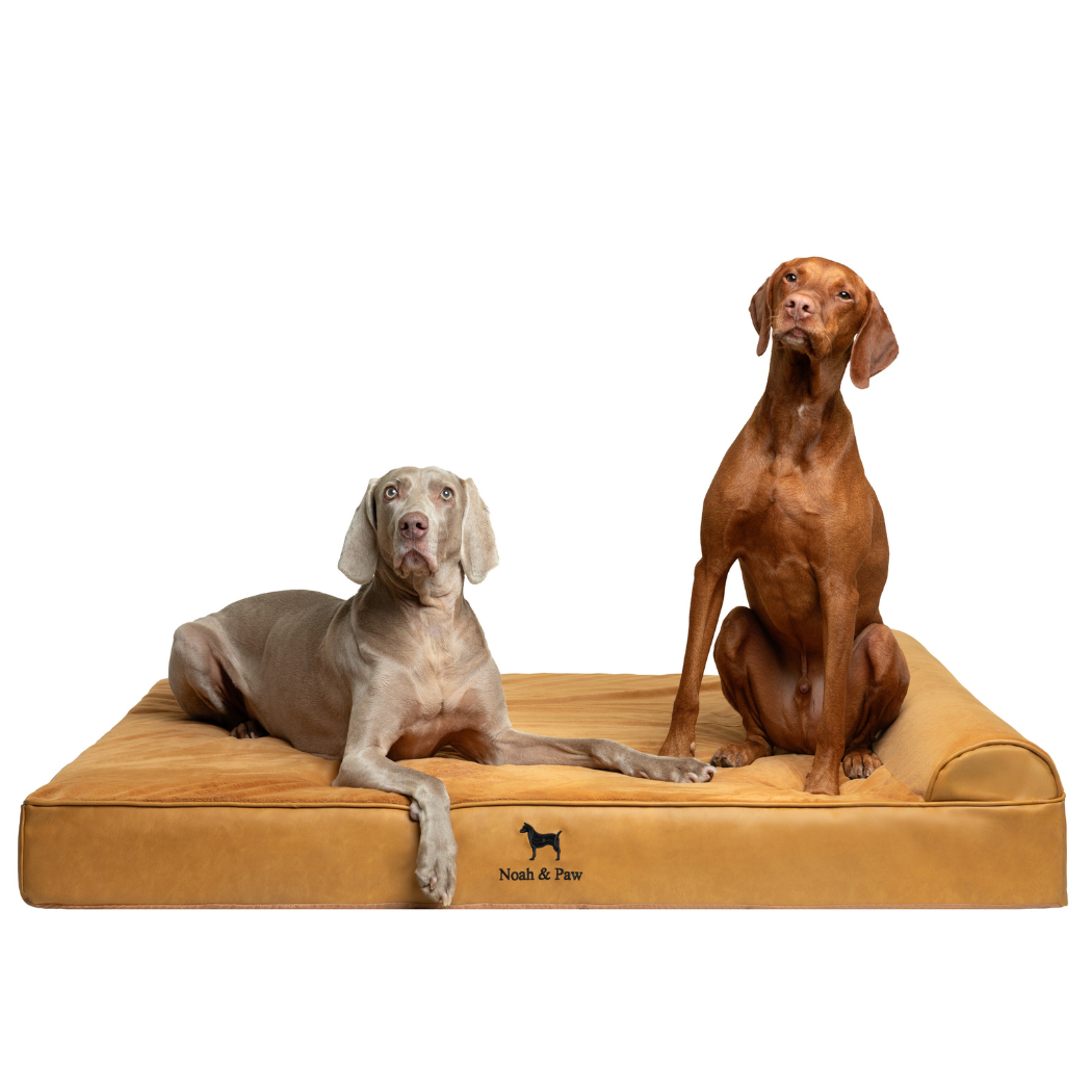 NOAH AND PAW LLC – Großhandel Haustierbett – Katze/Hund – Orthopädisches Hundebett aus Kunstleder mit Memory-Schaum und kühlendem Gel, klassischer Stil9