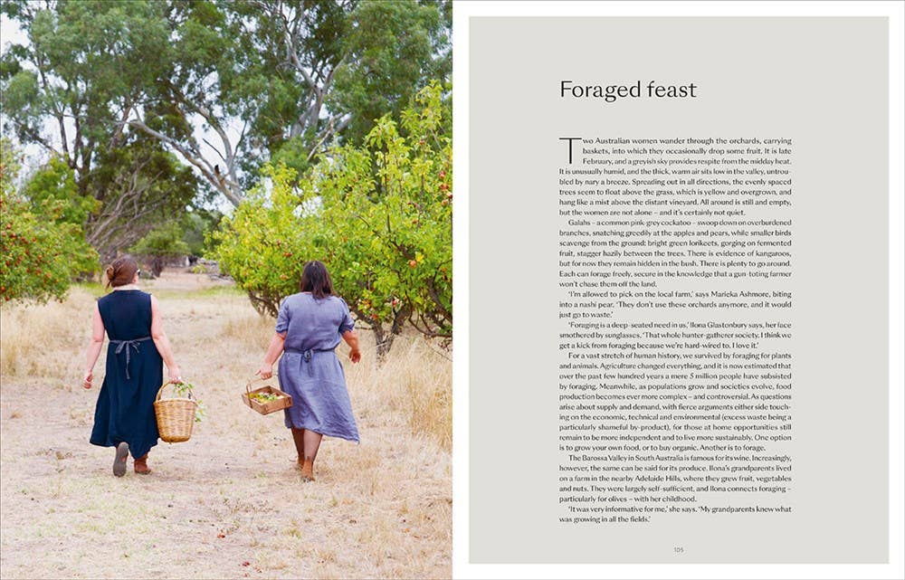 W. W. Norton - Wholesale Home & Garden - The Foraged Home11