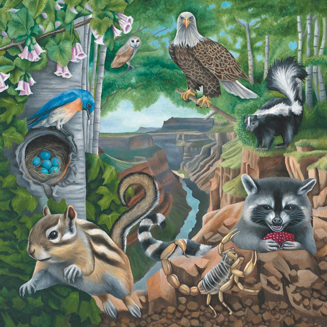 Creative Carousel Publishing - Wholesale Preschool Book (3-5) - Wise Eyes and the Wild Things – Children's Book3