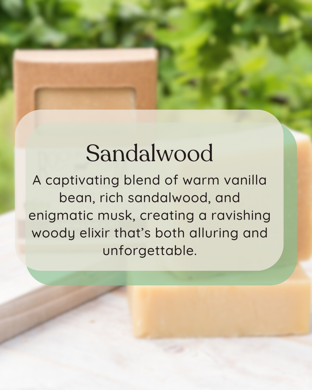 Rock Bottom Soap - Wholesale Bar Soap - Sandalwood Goat Milk Soap1