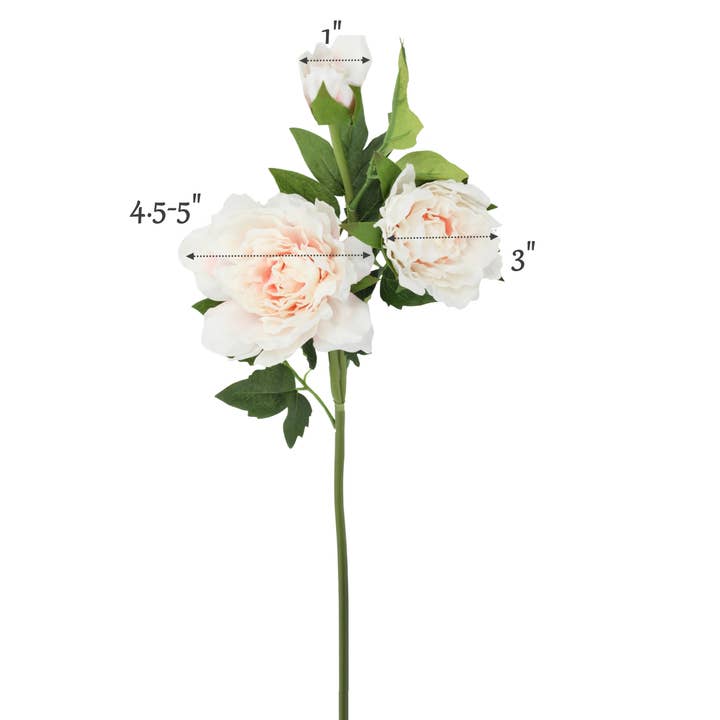 Angel Isabella - Wholesale Artificial Flowers - 26"-Premium Collection-Real Touch Moisturized Peony Stem