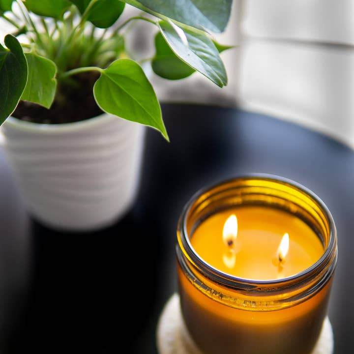 Commonwealth Candle - Wholesale Jar/Filled Candle - Sandalwood + Citrus