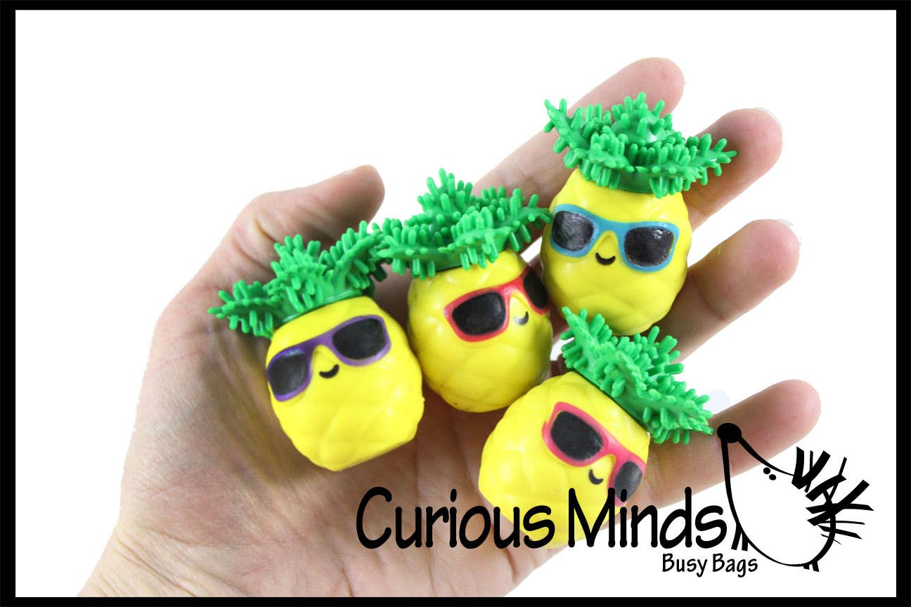 Curious Minds Toys - Wholesale Squishy toy – Kids & Baby - 1 Cute Pineapple Hedge Balls - Spiky Wooly Porcupine Balls