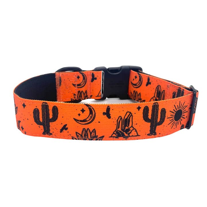 Outback Hound - Wholesale Pet collar – Dog - Orange Agave Dog Collar1