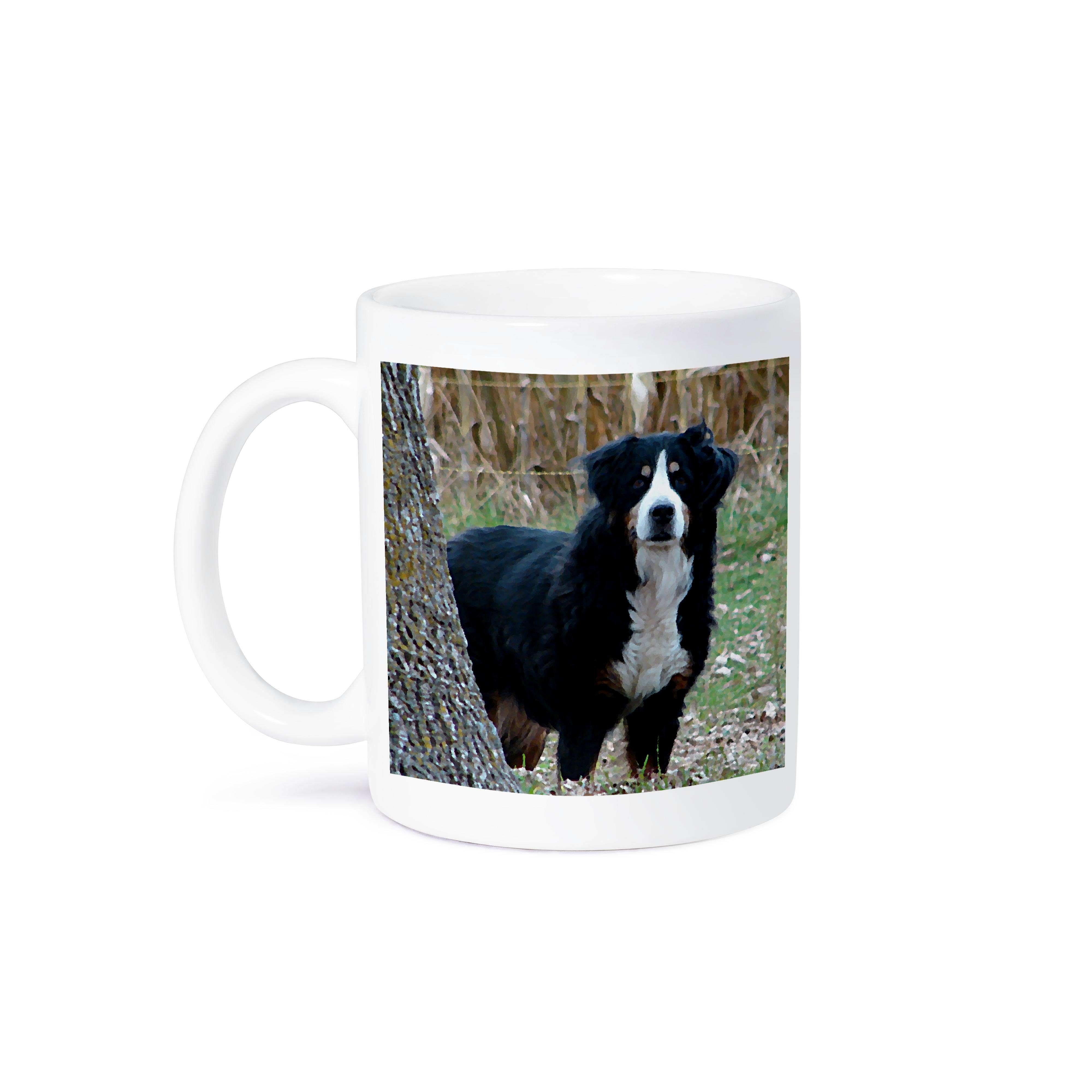 3dRose – wholesale Kaffekoppar – 3dRose, Berner sennenhund, mugg8
