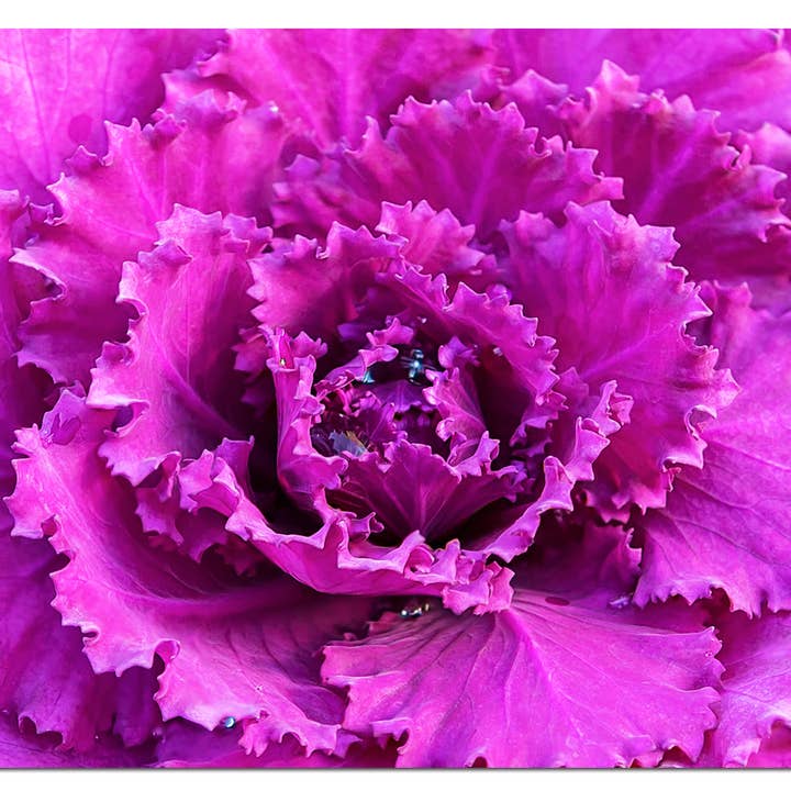 94.5 X 1 X 31.5 Acrylic Painting for wholesale by HomeRoots