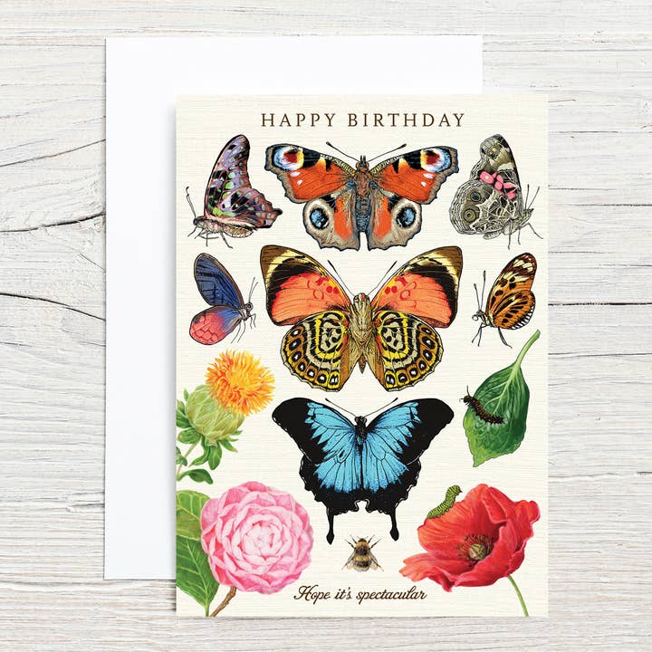 Birthday Spectacular 5x7 Single Notecard for wholesale by Brook Isle