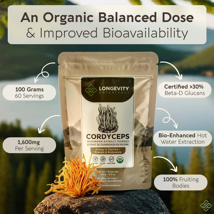 Longevity Botanicals - Wholesale Protein/Superfood Powder - Organic Cordyceps Mushroom Extract Powder 100g