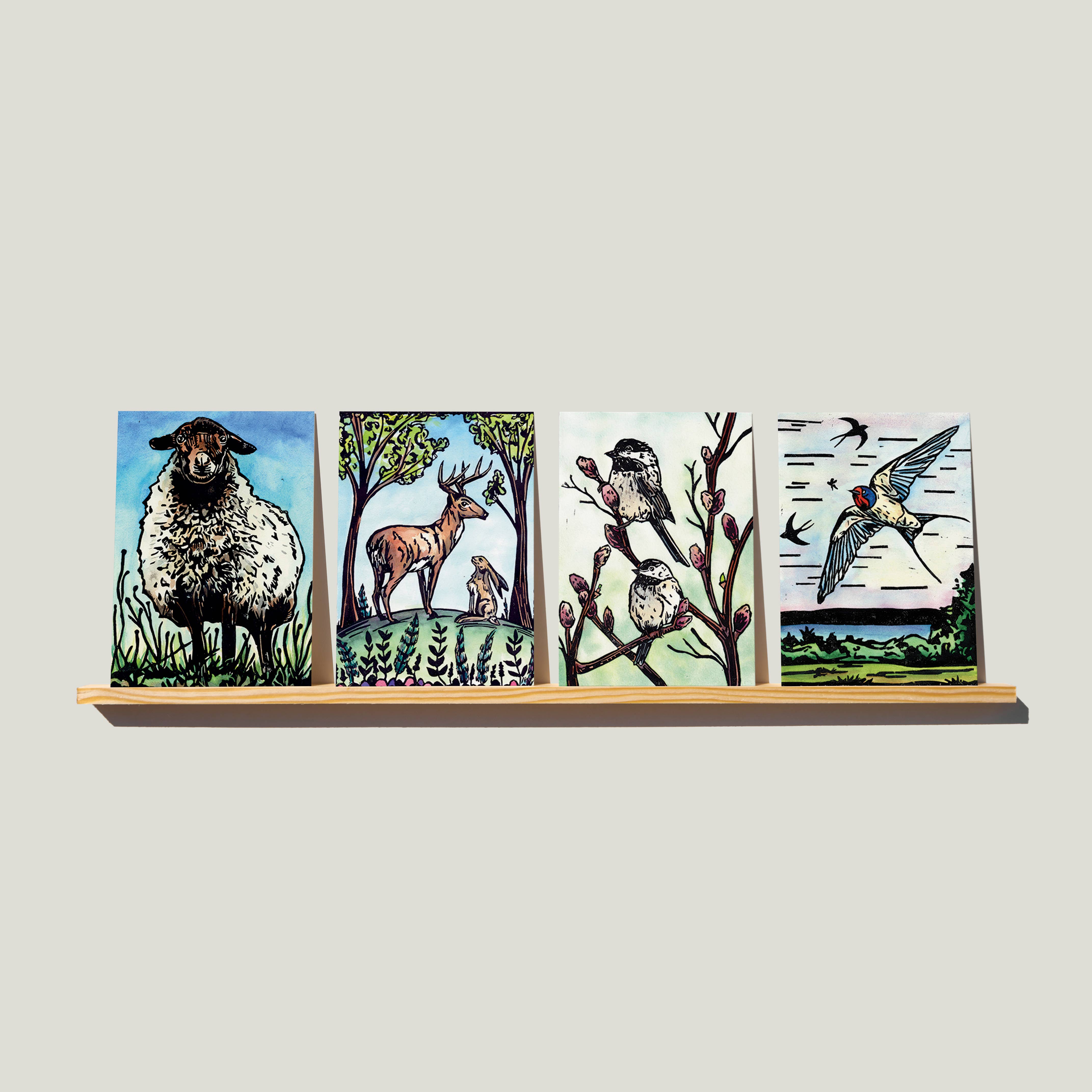 bclockerart - Wholesale Everyday Greeting Card - Greeting Cards of nature, birds, and wildlife.5