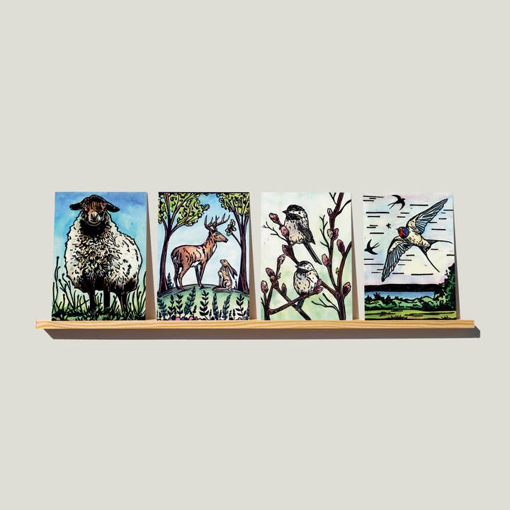 bclockerart - Wholesale Everyday Greeting Card - Greeting Cards of nature, birds, and wildlife.5
