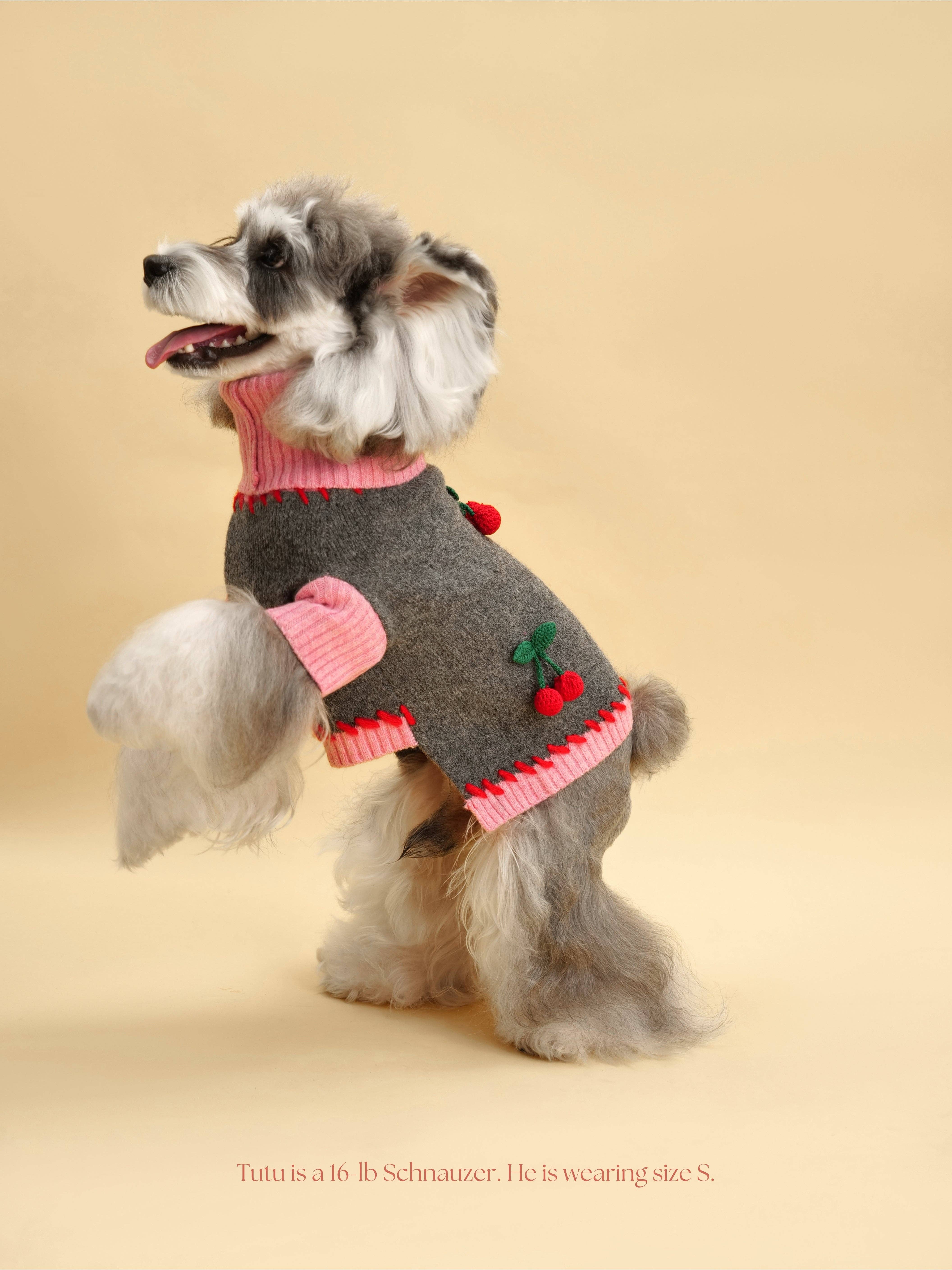 BarkBarkBaby - Vente Pull – chien - Pull Cherry Kiss5