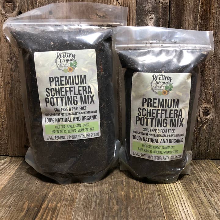 Rooting For You Plant Nursery - Vendita all'ingrosso Terriccio per piante/vasi - Miscela per invasatura Schefflera Premium0