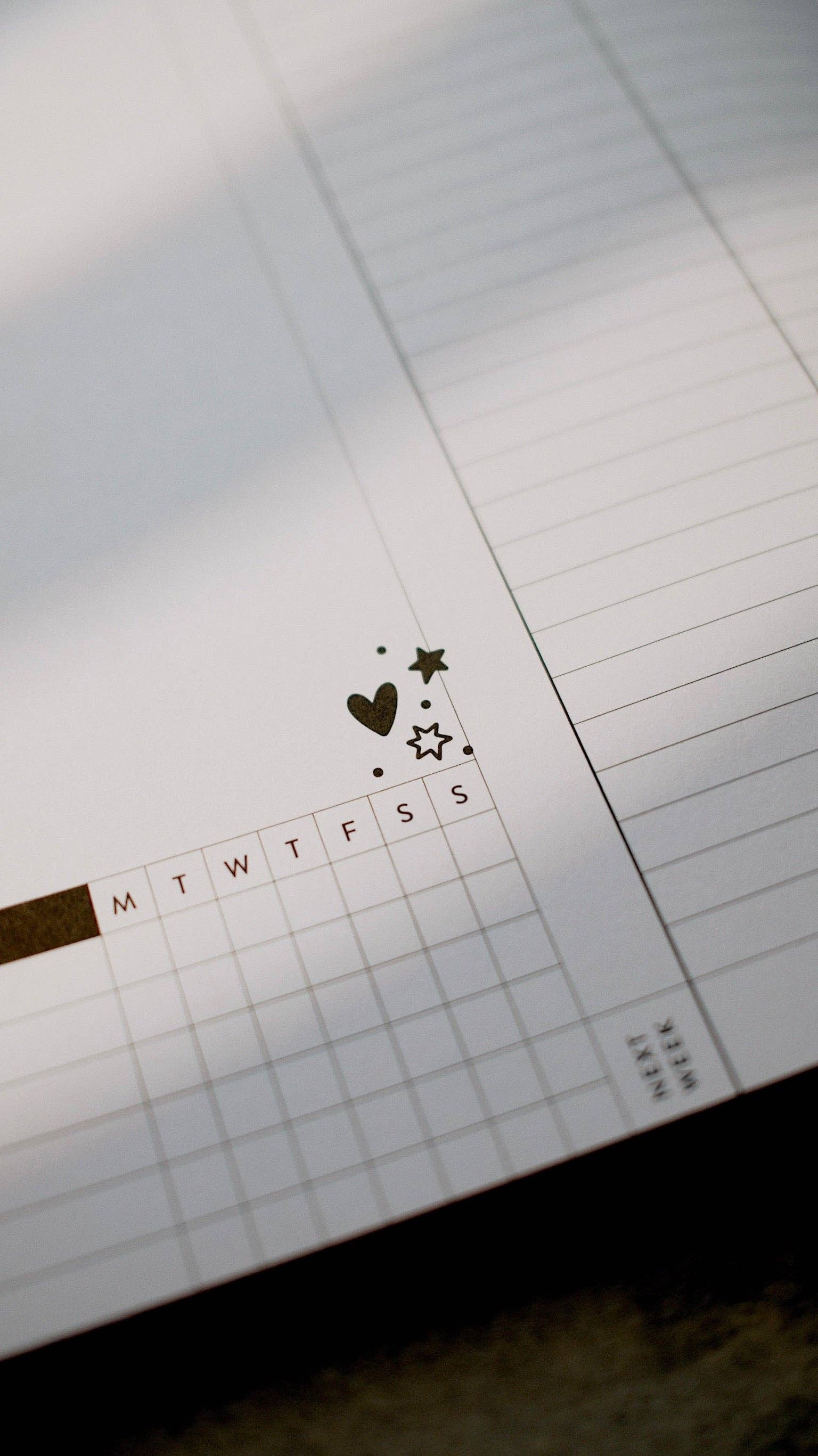 Rad & Happy - Wholesale Planner - 8x10 Undated Education Planner - Doodle Edition8