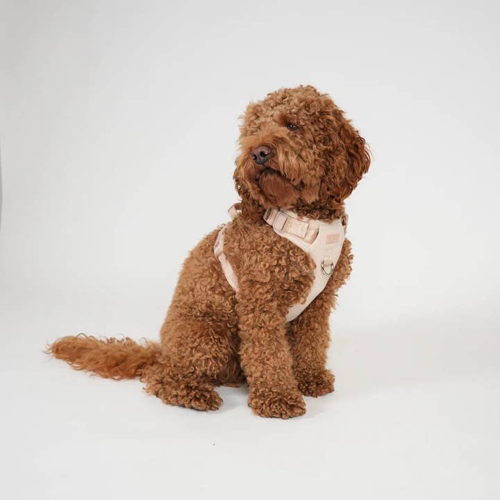 Staey - Wholesale Pet harness – Dog - Elma Dog Harness | Light Rose1