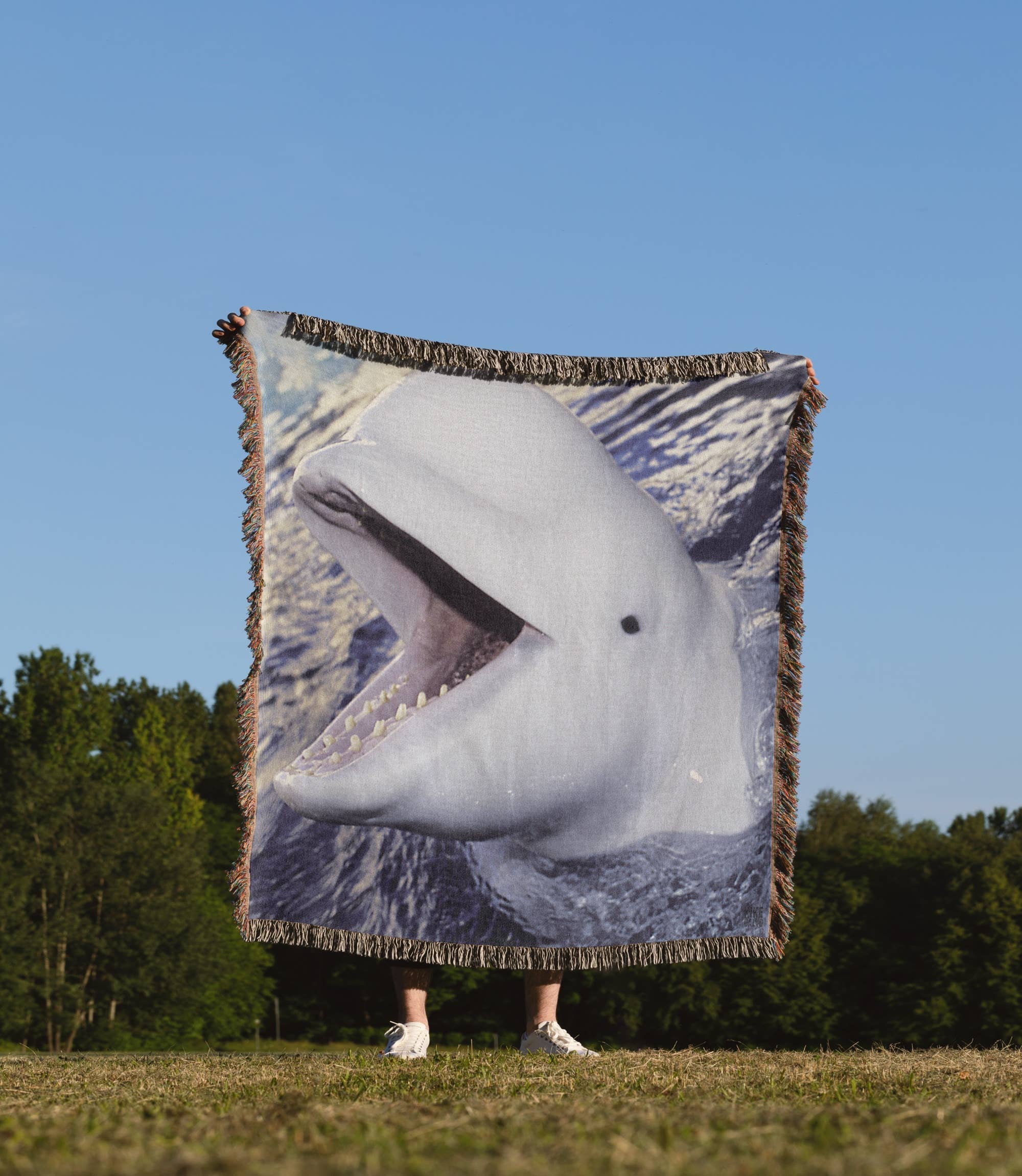 3dRose - Wholesale Throw Blanket - 3dRose, Beluga Whale, Delphinapterus leucas, Blanket1