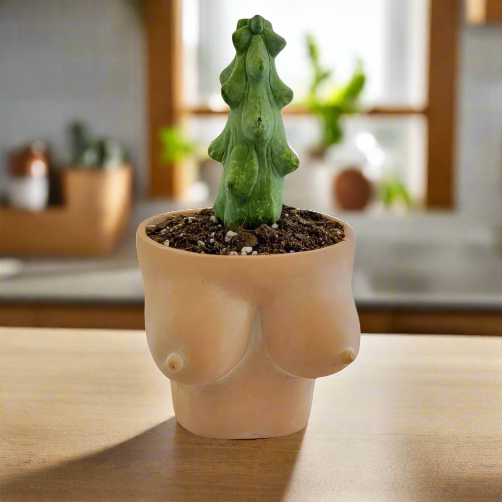 Simply Supplied Co – wholesale Kruka – Boob Kruka | Terrakotta Kruka | Roliga Bröst Kaktus Unik9