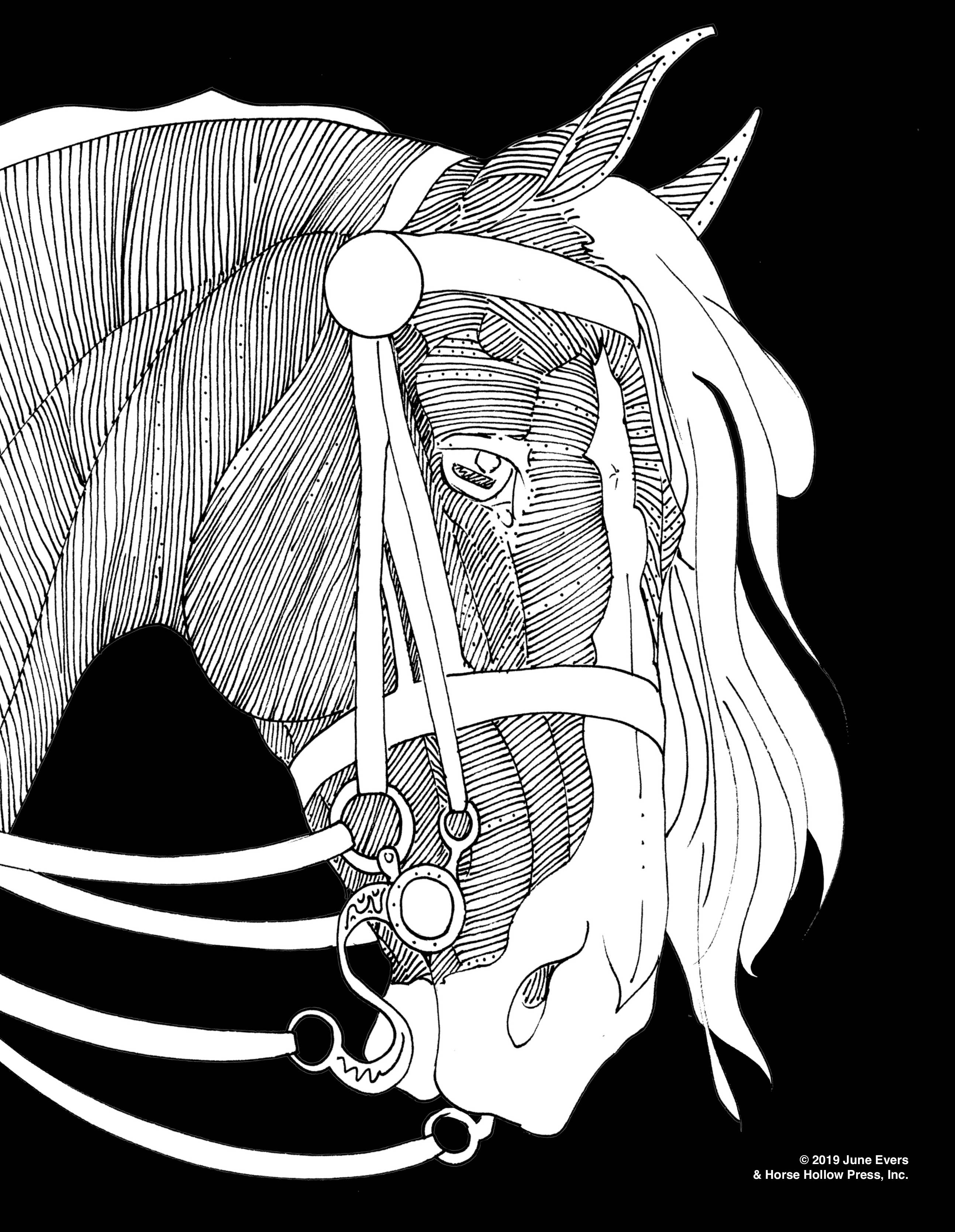 Horse Hollow Press / Pretty, Funny, Snarky Cards & Stickers - Wholesale Crafts, Hobbies & DIY Book - Pretty Horses Kit / 6 Drawings to Color / 24-Colored Pencils10