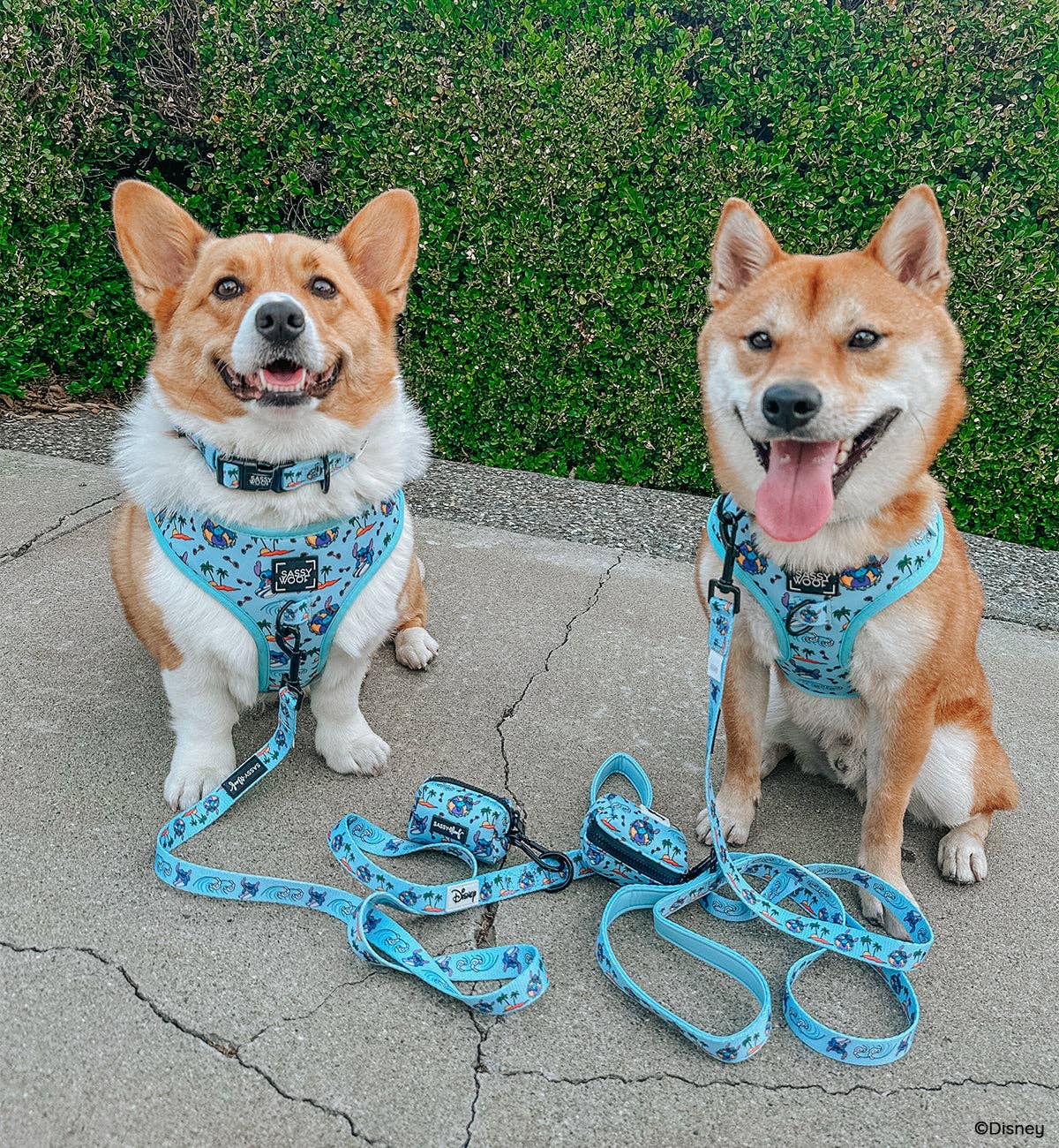 SASSY WOOF - Wholesale Pet Harness - Dog - Dog Adjustable Harness - Disney's Stitch7