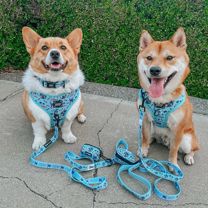 SASSY WOOF - Wholesale Pet Harness - Dog - Dog Adjustable Harness - Disney's Stitch7