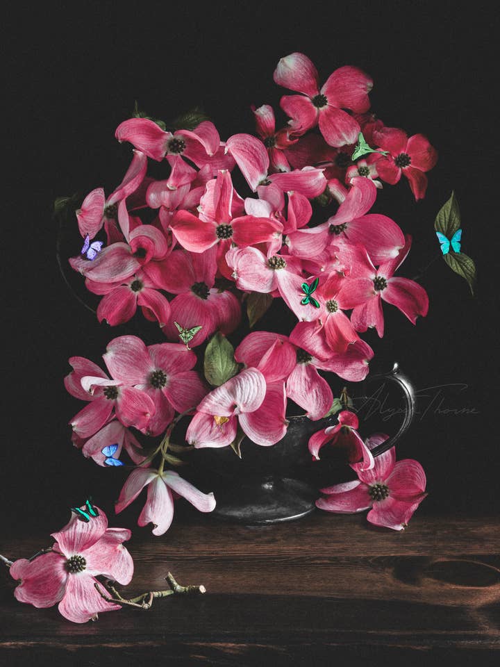 Still Life With Dogwood | Art Print | Dark Floral Still Life for wholesale by Alyssa Thorne
