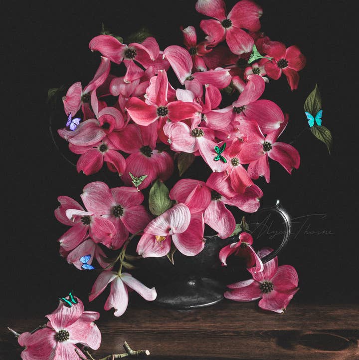 Alyssa Thorne - Wholesale Art Print - Still Life With Dogwood | Art Print | Dark Floral Still Life