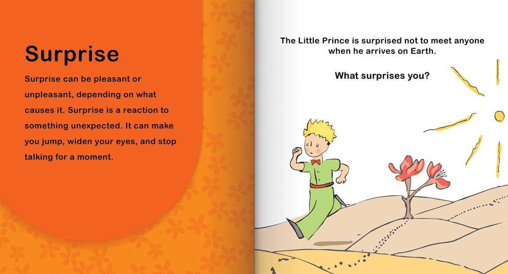 Independent Publishers Group - Wholesale Preschool Book (3-5) - Little Prince: My Book of Feelings7