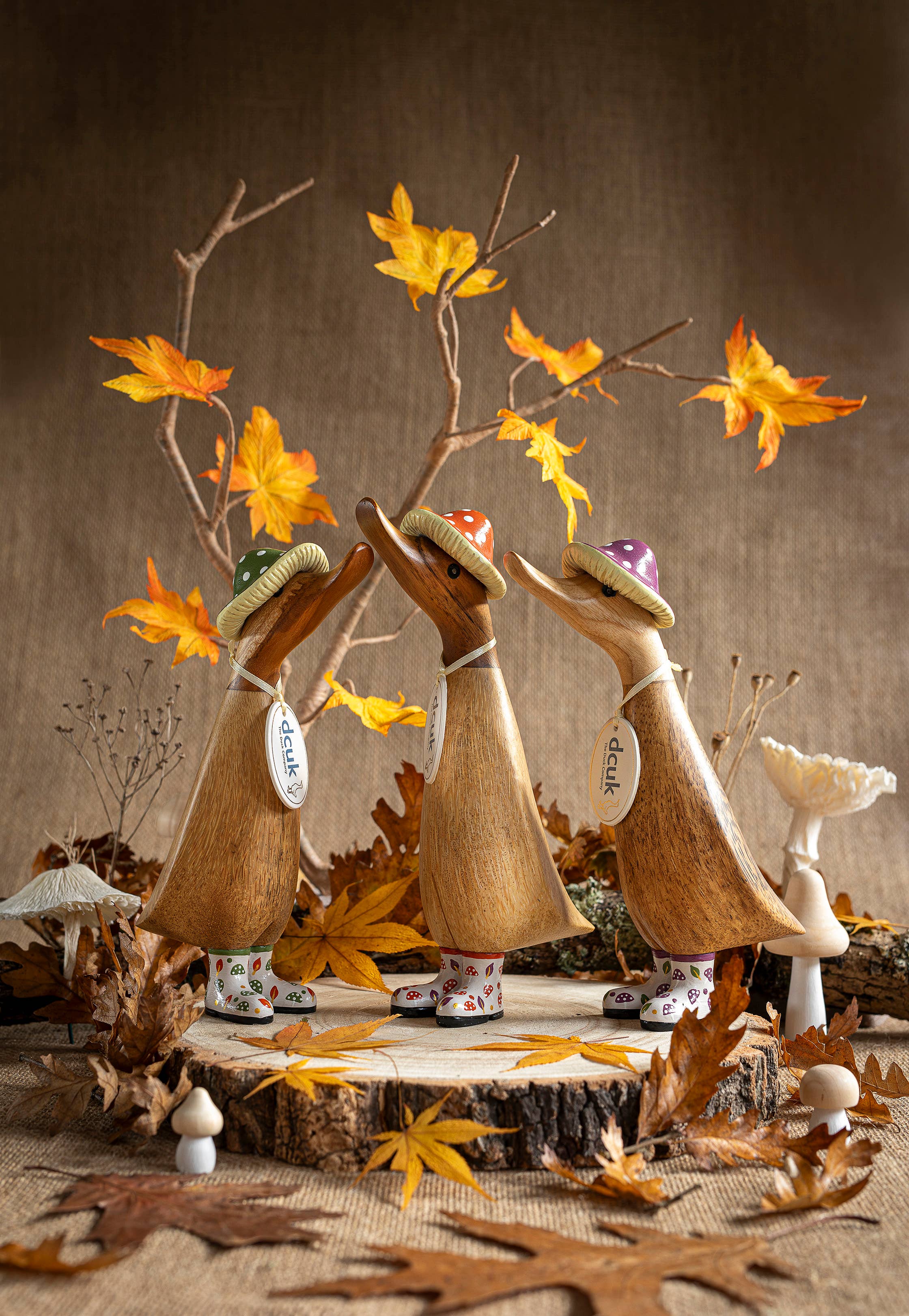 DCUK – wholesale Decorative figurine – DCUK Fungi Friends Ducklings