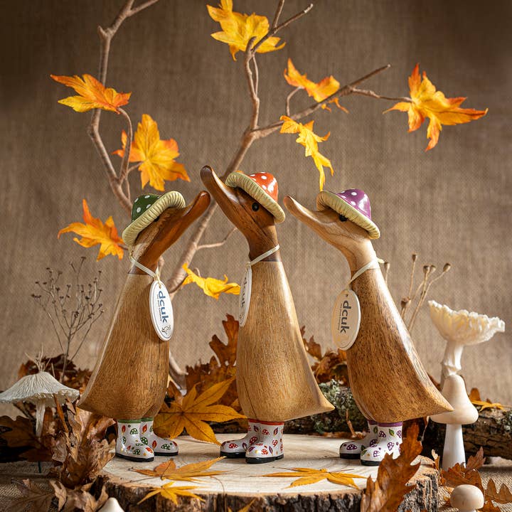 DCUK - Wholesale Decorative Figurine - DCUK Fungi Friends Ducklings