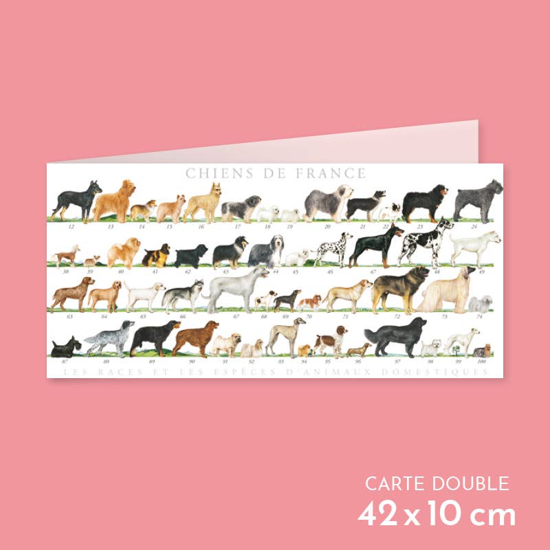 Longue-vue - Venta al por mayor Tarjeta postal - Perros de Francia - Tarjeta doble0