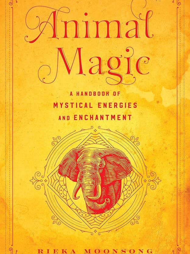 Animal Magic: A Handbook Of Mystical Energies... for wholesale by Texas Bookman
