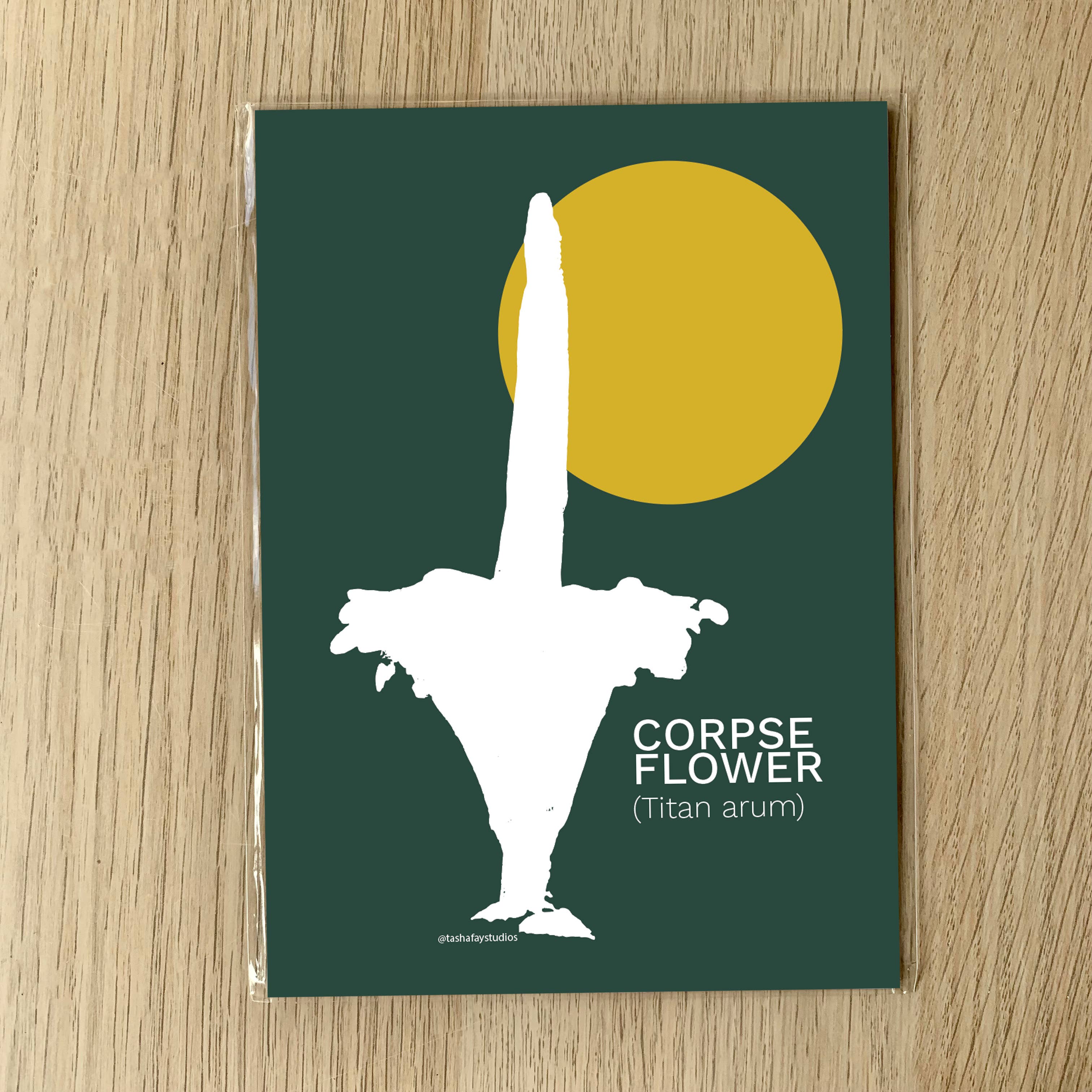 Tasha Fay - Wholesale Art Print - Corpse Flower Art Print0