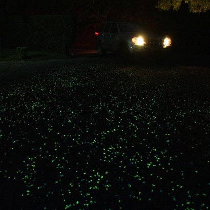 IT GLOWS - Wholesale Stepping stone - 8-15mm Premium Glow In The Dark Rocks - Green/ Glow Stones 7