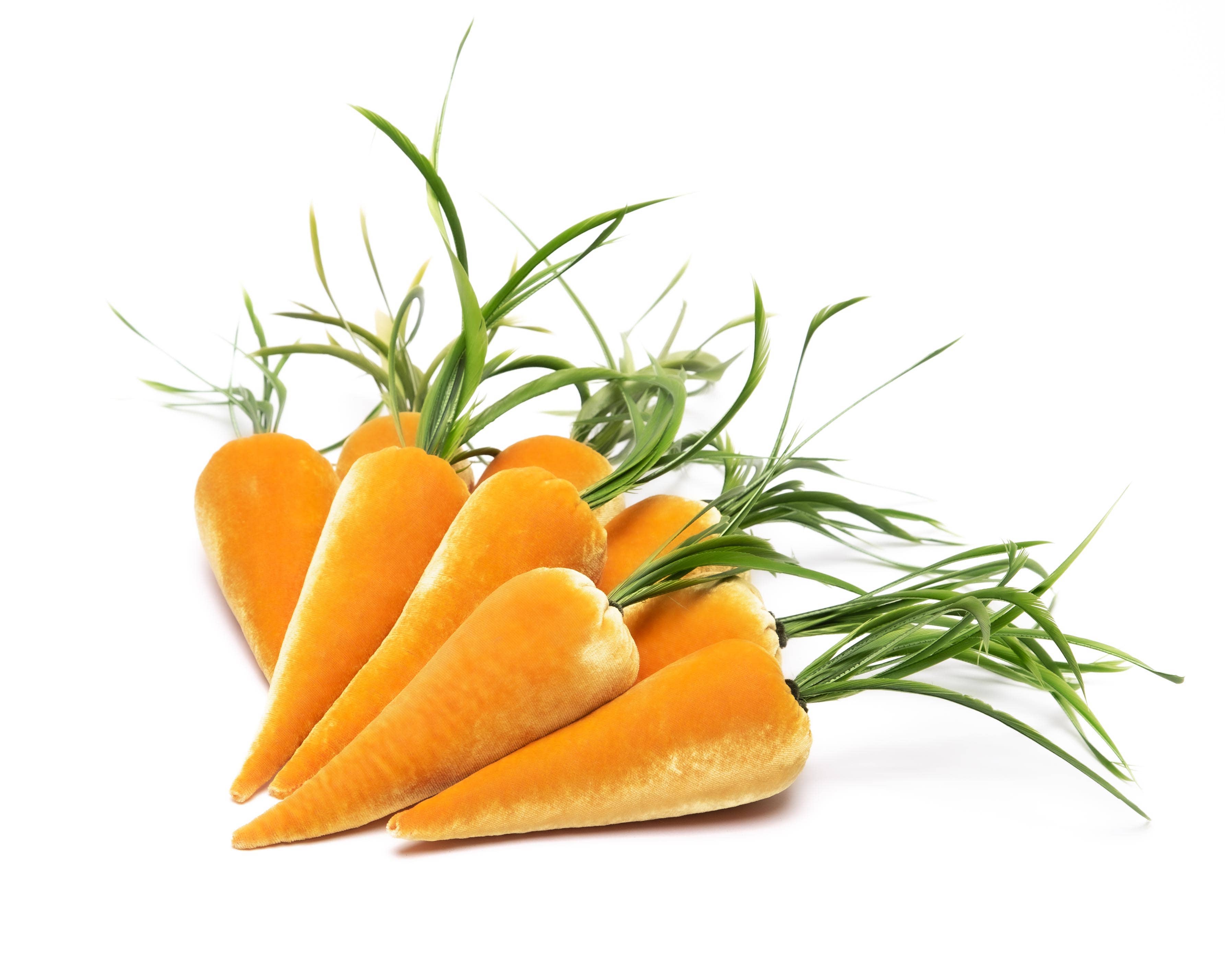 Hot Skwash - Wholesale Decorative Tabletop Object - Carrot-Carrot2