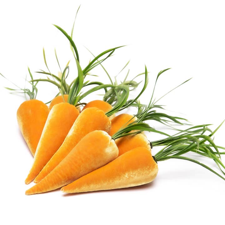 Hot Skwash - Wholesale Decorative Tabletop Object - Carrot-Carrot2