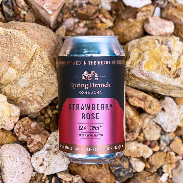 Spring Branch Kombucha - Wholesale Kombucha - Zen Trio Kombucha Variety 12-Pack4