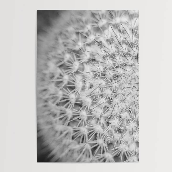 Fortress, a Modern Black & White Botanical Fine Art Print for wholesale by Rachel Richards Fine Art