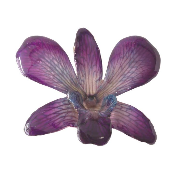 Real Orchid Hair Clip - Purple for wholesale by Devi & Co
