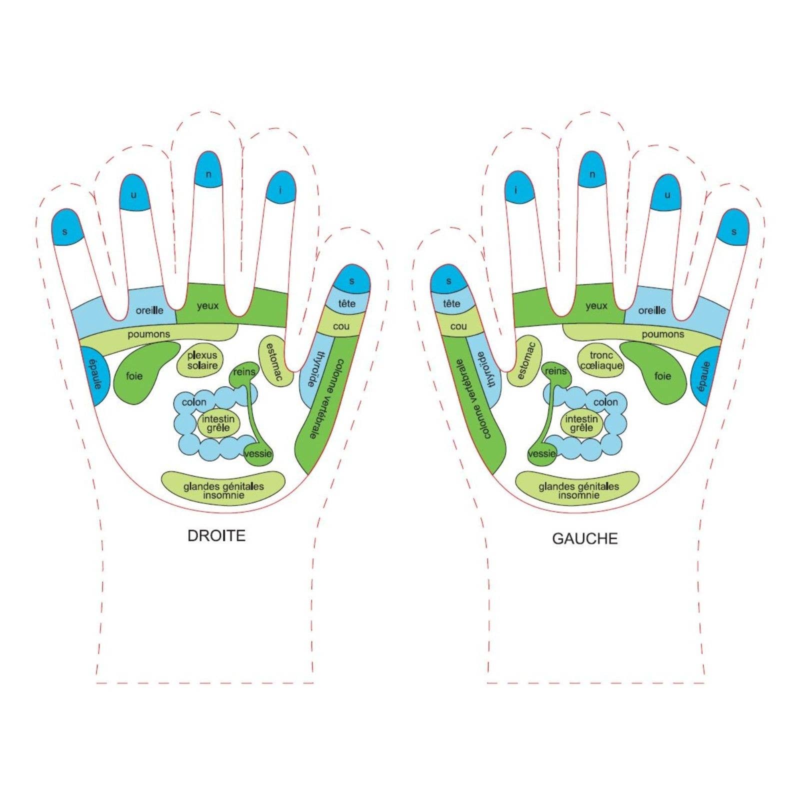 Zen'Arôme - Vente Gants hydratants - Gants Réflexologie Adoucissants - Gel Hydratant aux Huiles5