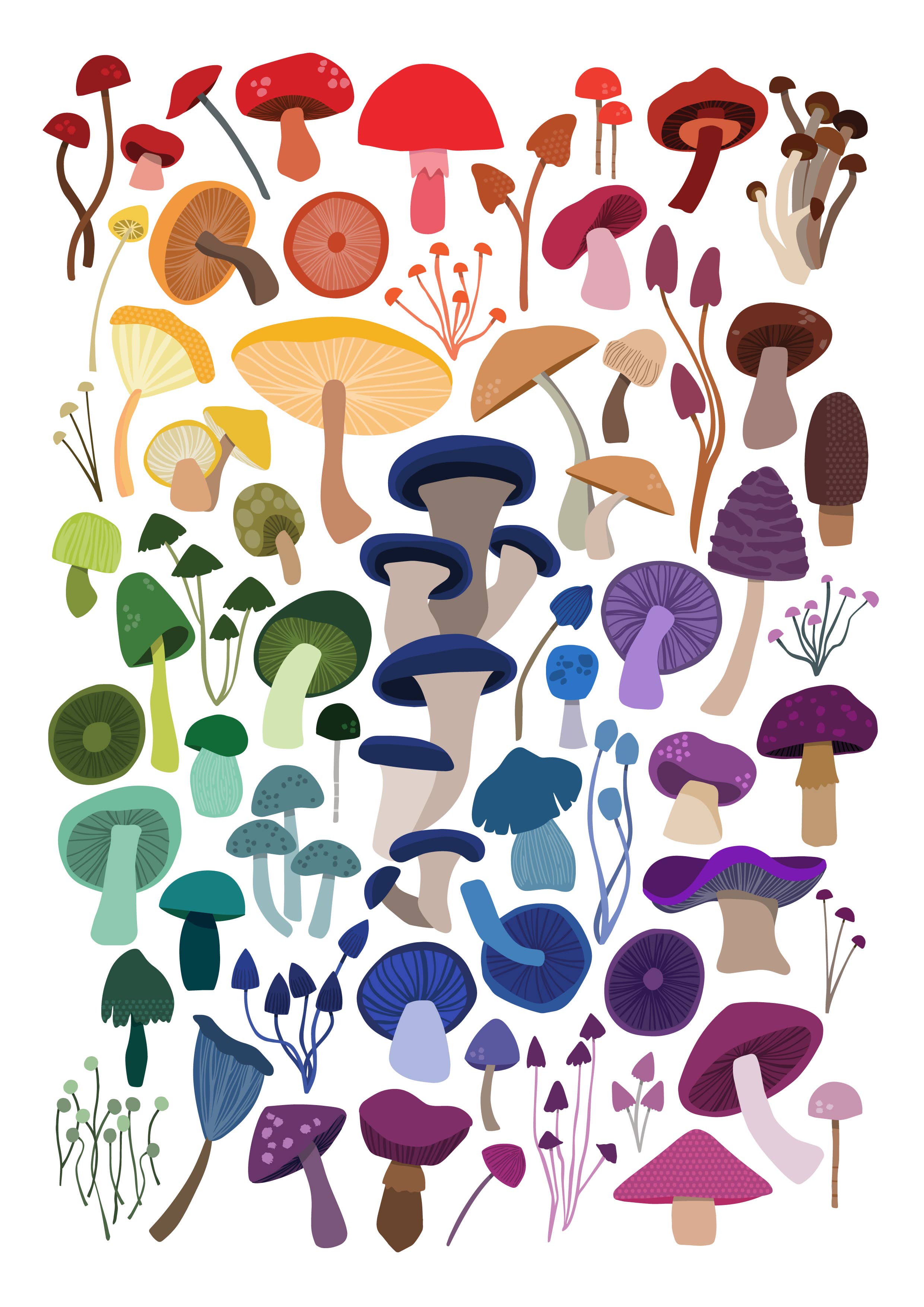 Joanne de Pace Design Studio - Wholesale Art Print - 'Rainbow Mushroom' Art Print0